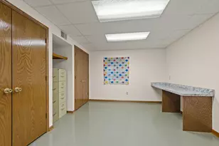 8115 Pluskota Dr, Orland Park, IL 60462 - Photo 28