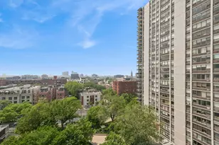 1455 N Sandburg Terrace, Chicago, IL 60610 - Photo 20