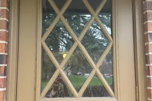 811 S Dwyer Ave, Arlington Heights, IL 60005 - Photo 6