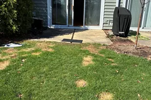 1213 Cranbrook Dr, Schaumburg, IL 60193 - Photo 18