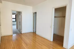 221 E Walton Pl, Chicago, IL 60611 - Photo 2