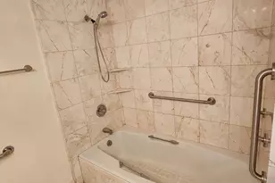 221 E Walton Pl, Chicago, IL 60611 - Photo 16