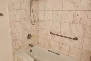 221 E Walton Pl, Chicago, IL 60611 - Photo 8