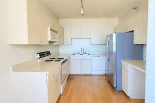 221 E Walton Pl, Chicago, IL 60611 - Photo 4