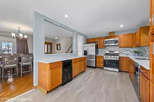 25225 N Virginia Ave N, Lake Zurich, IL 60047 - Photo 4