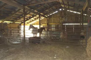 6475 Hwy 145, Harrisburg, IL 62946 - Photo 36