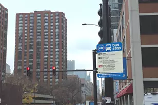 1101 S State St, Chicago, IL 60605 - Photo 20