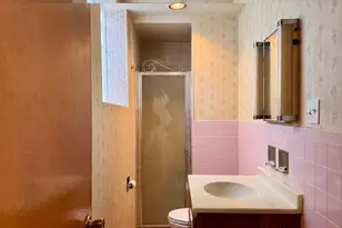 539 E 169th St, South Holland, IL 60473 - Photo 20