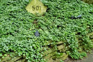 501 Glenwood Trail, Elgin, IL 60120 - Photo 36