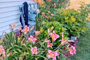 649 Berkley Dr, Romeoville, IL 60446 - Photo 30