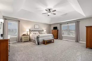 178 W Otto Dr, New Lenox, IL 60451 - Photo 16