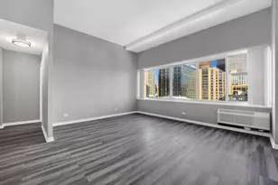 211 E Ohio St, Chicago, IL 60611 - Photo 12