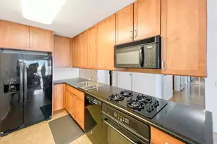 9655 Woods Dr, Skokie, IL 60077 - Photo 4