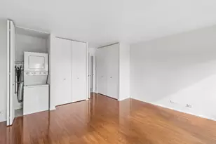 111 E Chestnut St, Chicago, IL 60611 - Photo 12