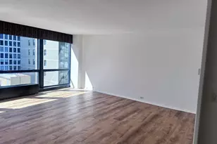 900 N Lake Shore Dr, Chicago, IL 60611 - Photo 6