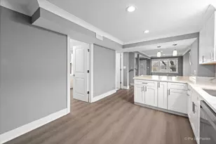 5252 N Mulligan Ave, Chicago, IL 60630 - Photo 20