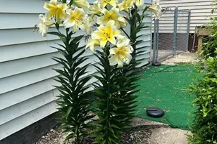 8911 Ramble Rd, Wonder Lake, IL 60097 - Photo 26