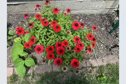 8911 Ramble Road, Wonder Lake, IL 60097 - Photo 28