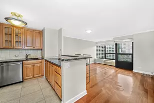 [Address not provided], Chicago, IL 60611 - Photo 2