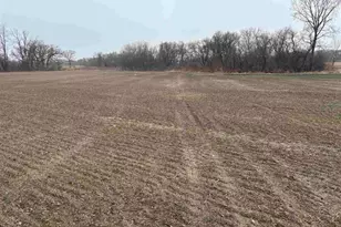 Xxxx Il Rt 173, Harvard, IL 60033 - Photo 1