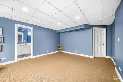 119 Settlers Drive, Naperville, IL 60565 - Photo 32