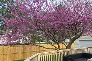 100 S Constitution Dr, Aurora, IL 60506 - Photo 30