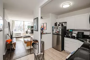 1360 N Sandburg Terrace, Chicago, IL 60610 - Photo 8