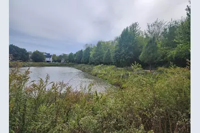 982 Indigo Court, Hanover Park, IL 60133 - Photo 56