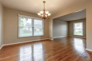 1128 Aegean Dr, Schaumburg, IL 60193 - Photo 12