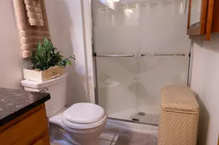 22994 Westwind Dr, Richton Park, IL 60471 - Photo 10