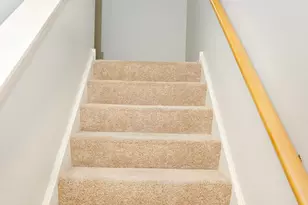 219 River Front Dr, Mount Prospect, IL 60056 - Photo 12