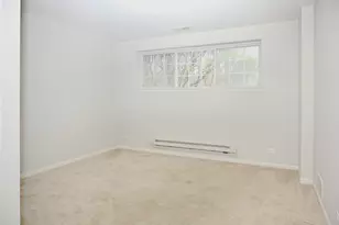 219 River Front Dr, Mount Prospect, IL 60056 - Photo 36