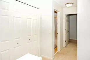 219 River Front Dr, Mount Prospect, IL 60056 - Photo 24