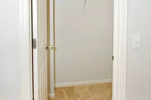 219 River Front Dr, Mount Prospect, IL 60056 - Photo 22