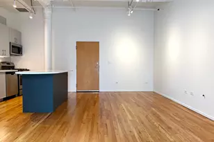 420 S Clinton St, Chicago, IL 60607 - Photo 4