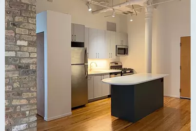 420 S Clinton Street #110A, Chicago, IL 60607 - Photo 2