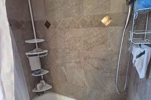 7925 S Richmond St, Chicago, IL 60652 - Photo 6