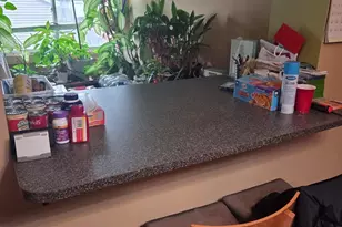 7925 S Richmond St, Chicago, IL 60652 - Photo 10