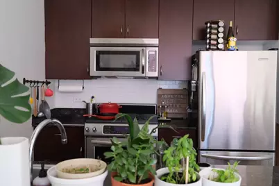 303 W Ohio Street #1404, Chicago, IL 60654 - Photo 2