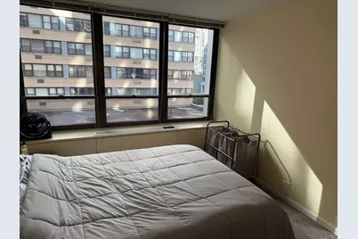 222 E Pearson Street #303, Chicago, IL 60611 - Photo 12
