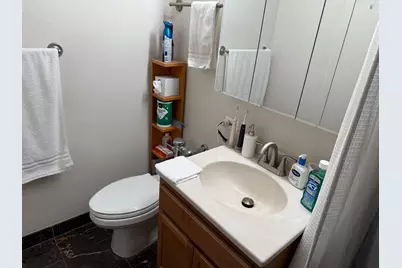 222 E Pearson Street #303, Chicago, IL 60611 - Photo 20