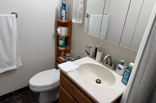 222 E Pearson St, Chicago, IL 60611 - Photo 20