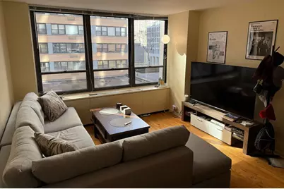 222 E Pearson Street #303, Chicago, IL 60611 - Photo 4