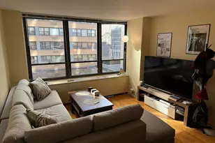 222 E Pearson St, Chicago, IL 60611 - Photo 4