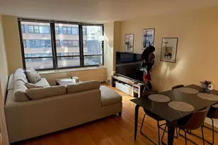 222 E Pearson St, Chicago, IL 60611 - Photo 6