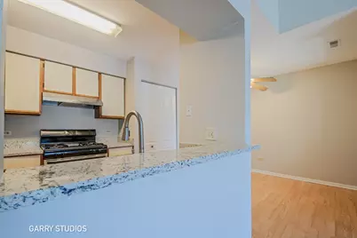 46 N Park Avenue #7, Lombard, IL 60148 - Photo 10