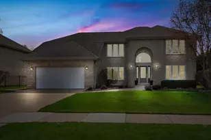 9219 Greenwood Dr, Tinley Park, IL 60487 - Photo 1