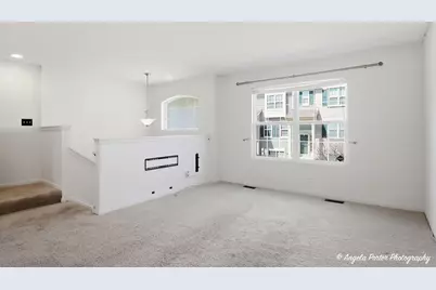 593 Treble Lane, Volo, IL 60073 - Photo 6