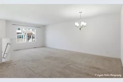 593 Treble Lane, Volo, IL 60073 - Photo 4