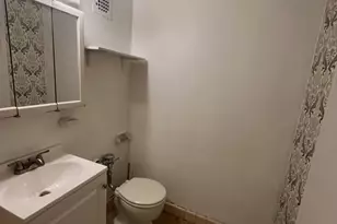 708 W Bittersweet Pl, Chicago, IL 60613 - Photo 14